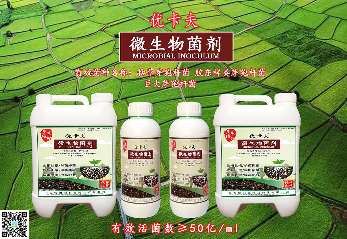 微生物菌剂宣传2.jpg